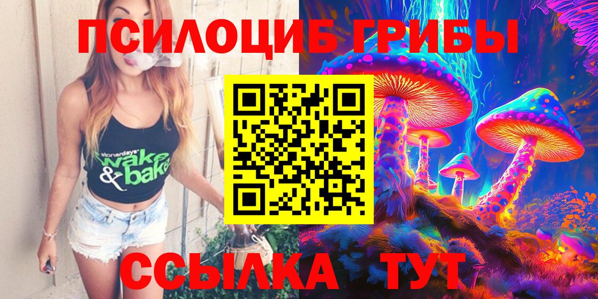 Галлюциногенные грибы Psilocybe Нижнеудинск