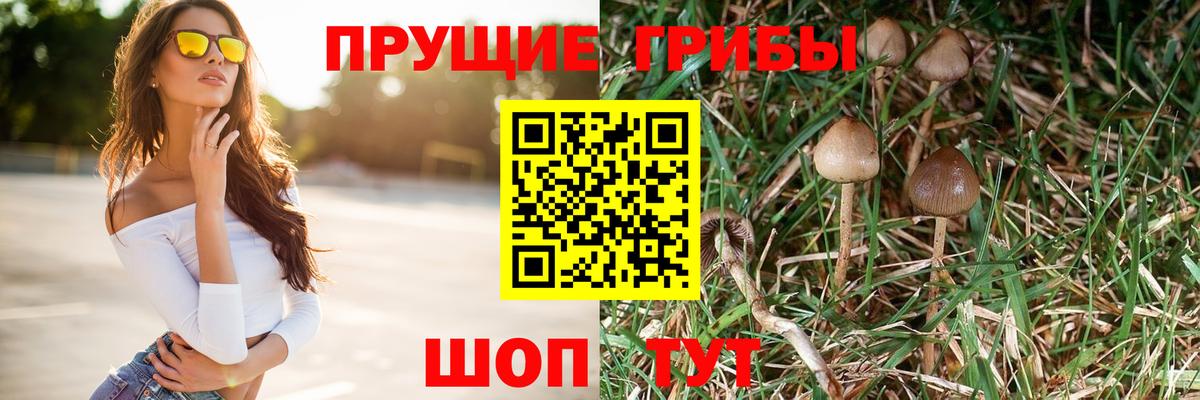 Псилоцибиновые грибы MAGIC MUSHROOMS  Вход с VPN  Галлюциногенные грибы Psilocybe  Нижнеудинск 